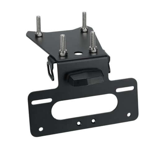 Support plaque moto LED idéal pour les sorties de week-end en Monster 797