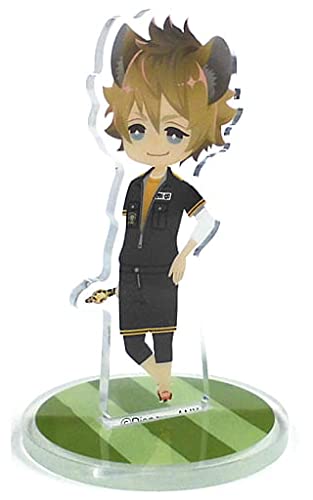 Amazon.co.jp: ディズニー ツイステッドワンダーランド ミニアクリル