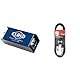 Cloud Microphones Cloudlifter CL-1 Mikrofonvorverstärker & Stagg Mikrofonkabel 3 Meter - 1x XLR Male - 1x XLR Female, Black