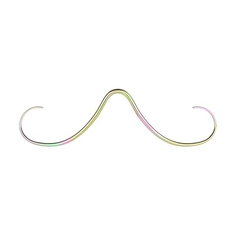 Anneau de septum ZS en acier inoxydable 316L Cover