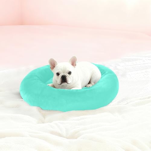 Panier antidérapant pour chien bleu turquoise S pour petit animal