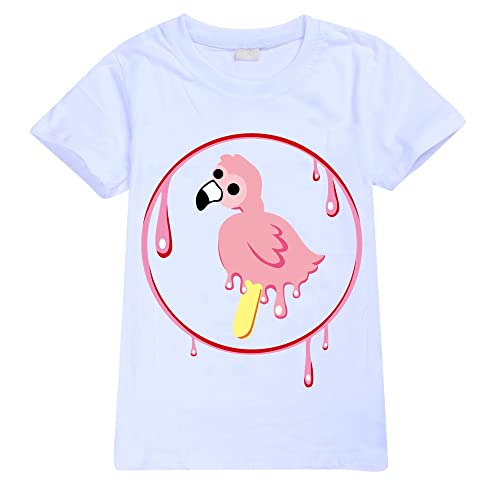 Boys Flamingo Flim Flam T Shirt Sweatshirts Flamingo Merch Kids Solid Color Sweatshirt