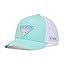 Gulf Stream/White/Triangle Gradient