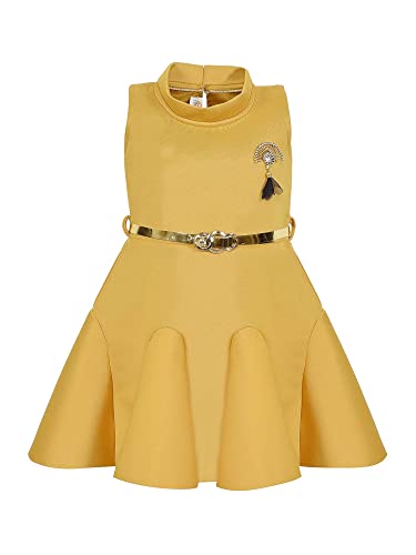 Image of Wish Karo Baby Girl's A-Line Knee Length Dress