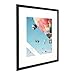 The Display Guys - 16x20 V-Series Low Profile Wooden Picture Frames - 11x14 Mat - Plexiglass - Wall - Black - 6-Pack