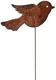 B2S BACK2SEASON Metall Stecker Vogel Edelrost Gartenstecker Beetstecker Frühling Deko Tierfigur Rost Höhe 60 cm