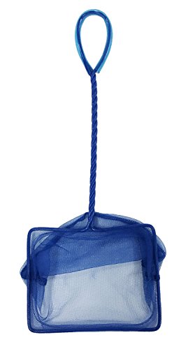 PENN-PLAX Quick-Net Aquarium Fish Net – Durable, Strong, and Safe – Color May Vary (Blue or Green) – 5” x 4” Net – 10” Handle