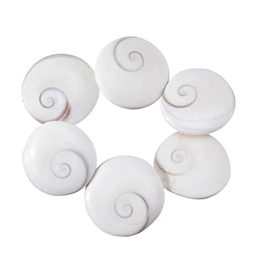 SUPERFINDINGS 6 Pièces Coquillage Oeil Shiva Décorations Plates et Rondes Cabochons en Coquillage de Mer 3.8 cm pour Création de Bijoux DIY Décoration...