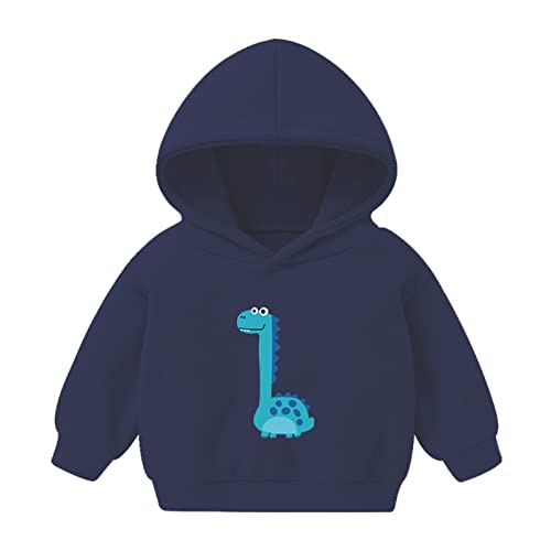 Toddler Boys Girls Winter Long Sleeve Hoodie Sweatshirt Outwear for Kids Clothes Longnecked Girls Jackets Size 10 to 12