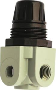 212 Main Mini Heavy Duty Regulator .25" NPT