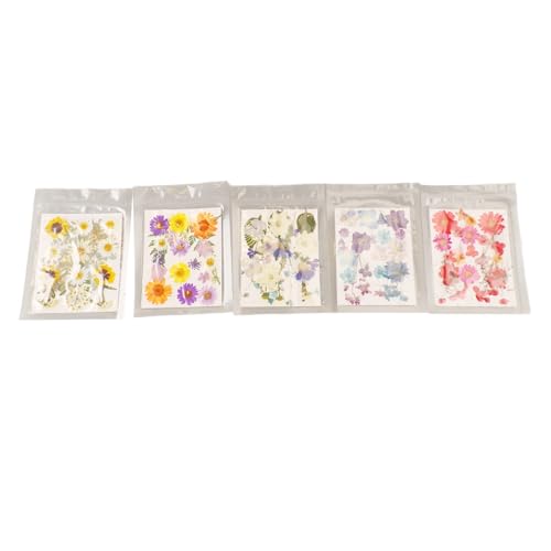Jeffergarden Flores secas para resina y manualidades 5 bolsas miniatura 3