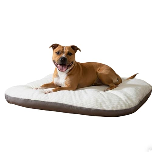 Lifetips X^btH[hV[EuEeA ybgxbh  L \t@ NbV 􂦂Jo[ h  ӂӂ 傫 I[V[Y ~ y ϋv ᔽ ʋC  R hL h_j ې OȒP p 