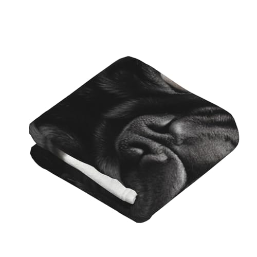Couverture légère lit plaid flanelle carlin jeté de canapé doux