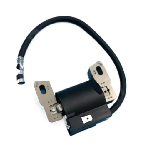 Bobine d'allumage 590455 799382 pour réparer un moteur en panne