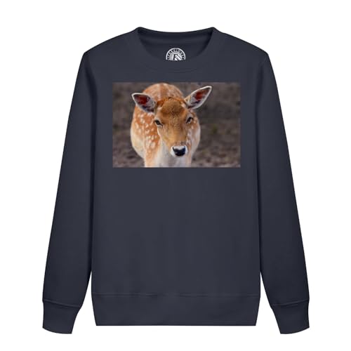 Sweatshirt enfant belle biche cadeau d'anniversaire idéal pour petit passionné de nature et animaux