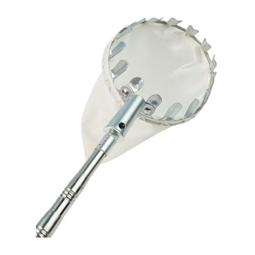 Hubiuyo t[csbJ[ t[cRN^[ Lknht \ȃt[csbLOc[ pIȎn⏕ `AAA񂲁A~A}S[AxCx[p (t[csbJ[+2.5m|[3i) [sAi]