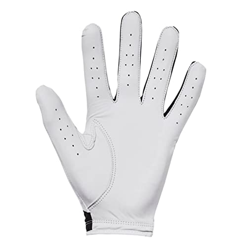 Image of Under Armour Mens Iso-chill Golf Glove