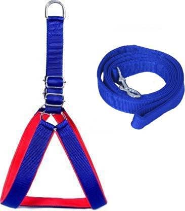 RvPaws Dog Belt Combo of 1 inch Royal Blue, Red Padded Dog Body Harness with Handle Blue Dog Leash, Adjustable Chest Size (Medium, Blue) (B09QL3W33W) Amazon Price History, Amazon Price Tracker