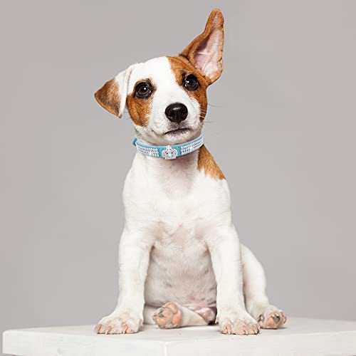 cobee Hundehalsband mit Strass, verstellbares Katzenhalsband Bling Pu Leder Welpenhalsband Kristall Haustierhalsbänder für kleine Hunde Katzen Halsbandzubehör(Blau)