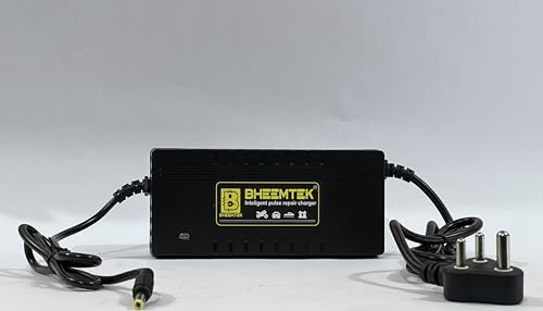 Image of BHEEMTEK 36V 4A Fast Charger for Electric Bicycle, E-Bike, and Scooter, Compatible with 36V Lithium Battery, 5.5 x 2.5mm DC Jack Connector, Power Adapter for Battery Charging