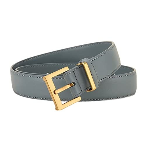 Womens Belt Needle Buckle Black Luxury Belt Cowhide Simple Jeans Belt For Women Casual Pants Decorative Belt(Light blue)
