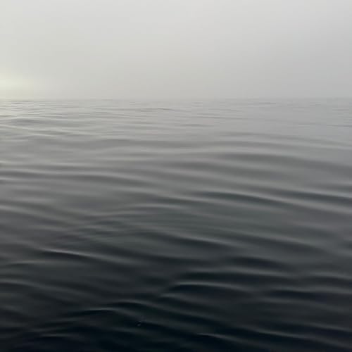 Page de couverture de ASMR: Your one-hundred year-old Norwegian tall ship is sailing in the middle of the Pacific Ocean