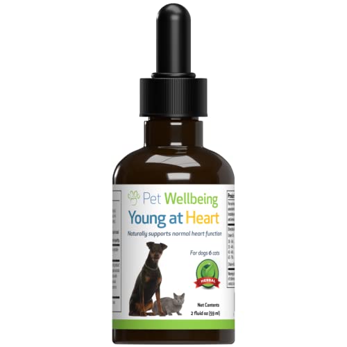 Pet Wellbeing Young at Heart for Dogs - Vet-Formulated - Supports Cardiovascular (Heart & Circulatory) Health - Natural Herbal Supplement 2 oz (59 ml)