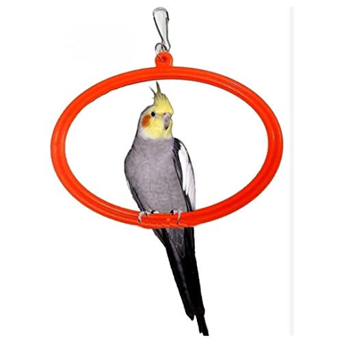 The-Pets-Company-Bird-Toys-Swings-Hanging-Oval-Rings-for-Budgie-Finches-Other-Small-Birds-Bird-Swing-with-SS-Hook-Small-Set-of-2