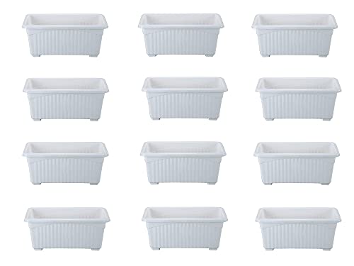 Image of Bianco Rectangular Plastic Pots for Plants, Jupiter Flower Pots for Home, Window Display, Garden (35 x 18.5 x 15 cm) (White) (Pack of 12)