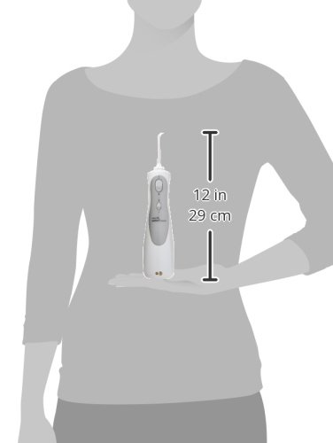Waterpik Cordless Professional Water Flosser (WP-440W)