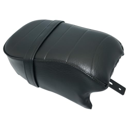 Selle moto passager arrière pour Sportster XL883N : profitez des balades à deux le week-end