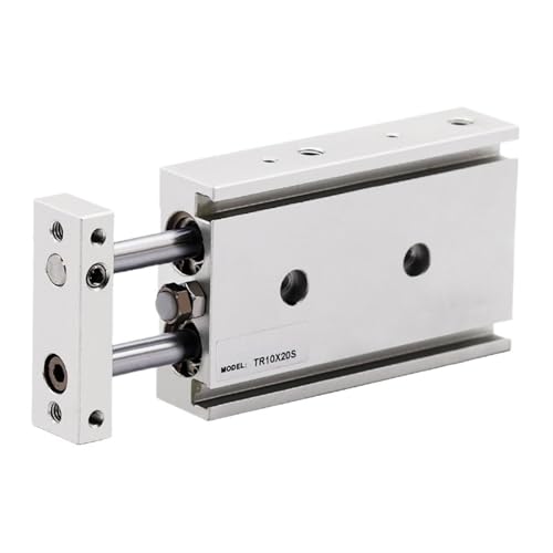 Vérin pneumatique TR10x10 double effet avec aimant pour pièce de machine