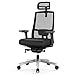 Price comparison product image Duwinson Ergonomic Home Office Chair With 4-Way Adjustment Armrest, Mesh Computer Desk Chair, Reclining Adjustment Back Support, Adjustable Headrest, Padded Lumbar Support, Swivel Slidable Seat
