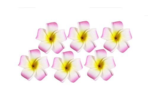 ASTRQLE 12PCS Pink 2.36" Flower Hawaiian Hawaii Plumeria Foam Hair Clips for Bridal Wedding Party Beach Decoration Hair Barrette Hairwear for Women Girl (Pink)