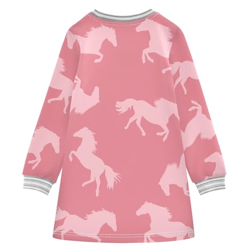 Pink Horse Girls Dresses Long Sleeve Sweatshirt Dress for Girls Winter Toddler Casual A Line Dresses Size 2-8T2