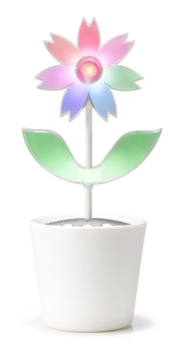 Amazon.co.jp: フラワーロック 2.0 (コスモスtype) : おもちゃ