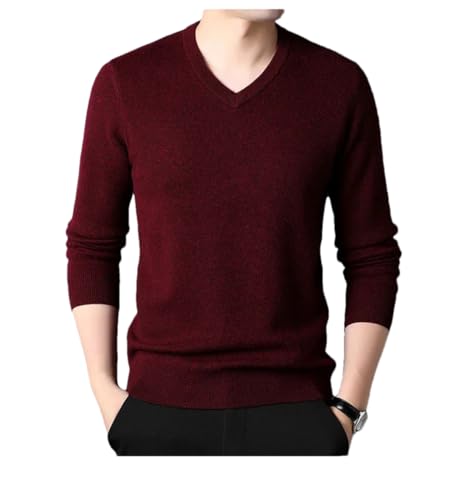 Bollrllr 2024 Men's Warm Slim Fit Pullover Sweater Autumn Fashionable V-Neck Stretch Knitted Sweater