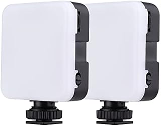 Andoer 42 LED Video Light Rechargeable, 2-Brightness Fill Light for DSLR Camera Camcorder mini DVR Wedding News Interview Macro Photography, 2pcs