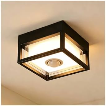 Outdoor Ceiling Light with Mot...