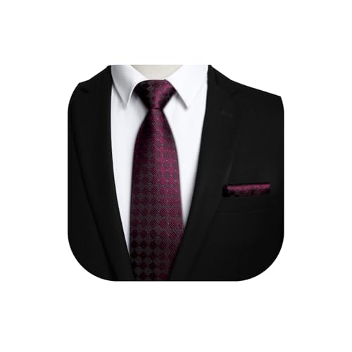 HISDERN Men's Tie and Pocket Square Set Solid Check Necktie with Handkerchief Formal Classic Elegant Ties for Men Wedding Business Ceremony Banquet