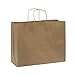 Prime Line Packaging Brown Paper Bags, Kraft Shopping Gift Bags with Handles for Small Business, Retail, Boutique & Grocery Use, To Go, Events, Bulk, 16x6x12, 100 Pack