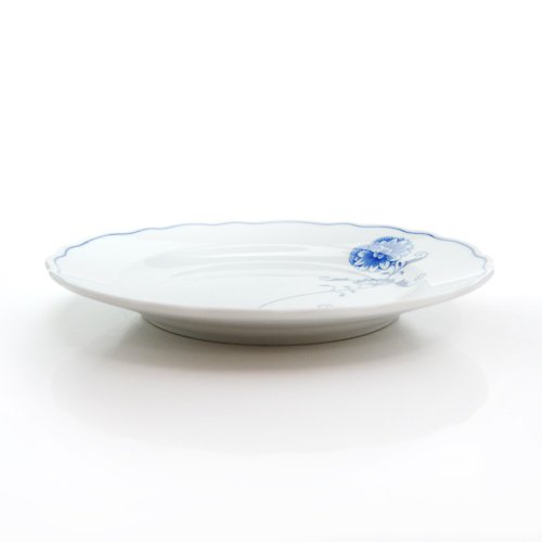 Amazon.co.jp: カールスバード ブルーオニオン ECO プレート 19cm[並行