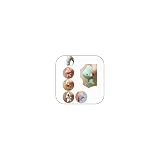 LINDING Cute Animal Bite Earrings, 6 Pairs Cartoon Animal Stud Earring Set, Fun Unique Fashion Jewelry Gift for Women (A: 6-piece set)