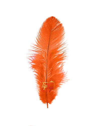 Image of Natural Dyed Feathers 10 cm (80 pieces) (Orange)