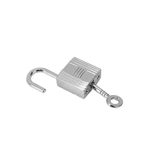 Pastlla 4 Pcs Mini Padlock Metal Padlock Mini Small Lock Luggage, Backpack, Diary, Bag，Jewelry Box Lock with Key，Silver