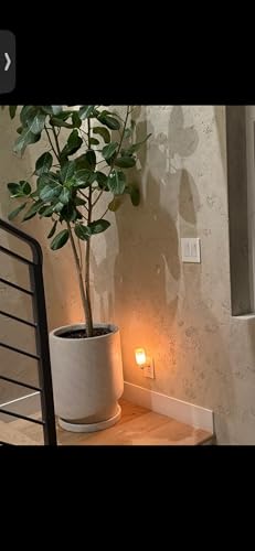 Image of Himalayan Salt Lamp - Purifies Air, Promotes Breathing & Clears Negative Energy 1 Unit