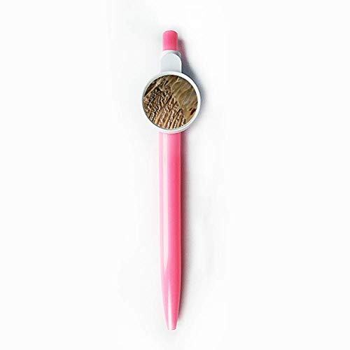 Stylo bille rétractable motif serpent plume bleu papeterie écriture douce