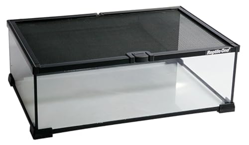 Reptile One Mini Glass T2 Terrarium with Wire Mesh Lid 45x30x16cm with Black Background