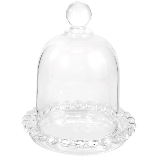 Healeved Bandeja de Vidrio Transparente con...