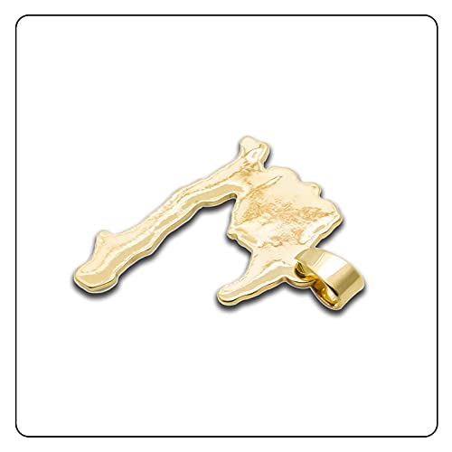 Hip Hop Plated 18K Gold Haiti Map Tag Pendant Necklace3